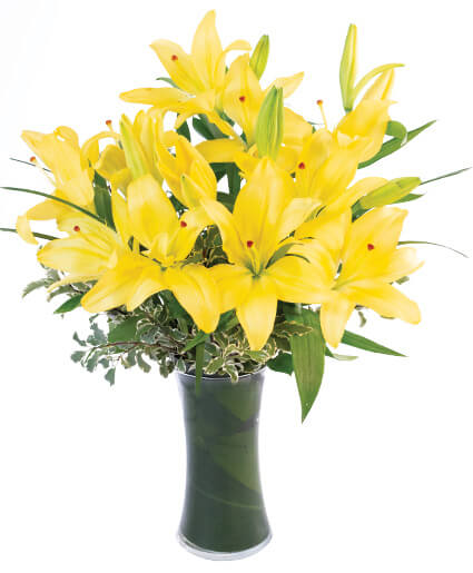 Yellow Lilies